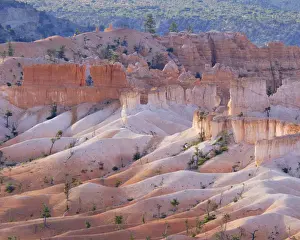 Colour Prints: United States of America, Utah, Bryce Canyon National Park