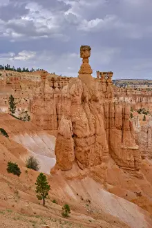 United States of America, Utah, Bryce Canyon National Park