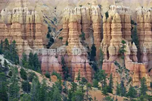 United States of America, Utah, Bryce Canyon National Park