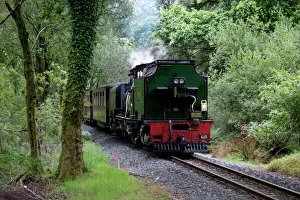 Forest Prints: Wales, Gwynedd, Ffestiniog & Welsh Highland Railway
